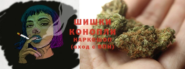 ALPHA PVP Каменногорск