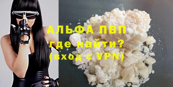 стаф Киренск