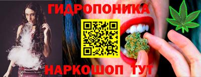 apvp Гай