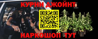 мескалин Гатчина
