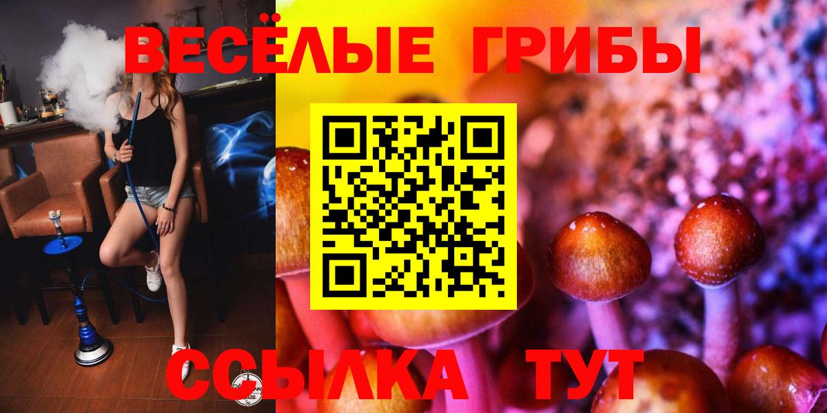 Галлюциногенные грибы мухоморы  Вход с VPN  Псилоцибиновые грибы прущие грибы  Кудрово 
