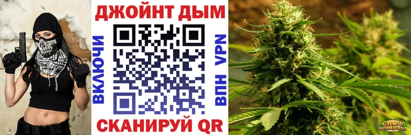 Конопля семена  Кудрово 